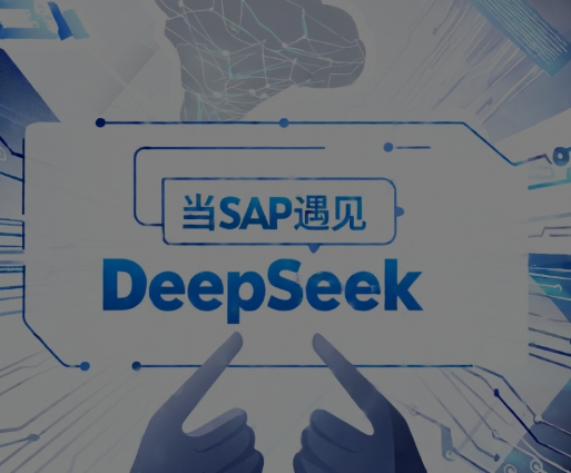 SAP MEET DEEPSEEK